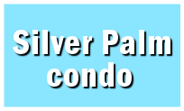 Silver Palm Condo